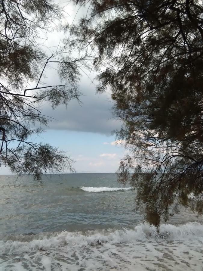 דירות מילינה Sole Mio מראה חיצוני תמונה